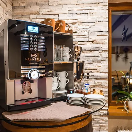 Haus Stuettler/duchscherer Bed & Breakfast Schruns